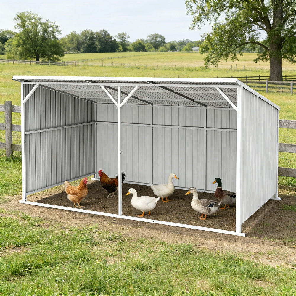 Chery Industrial 20' × 12' Heavy-Duty Metal Livestock Run-In Shed