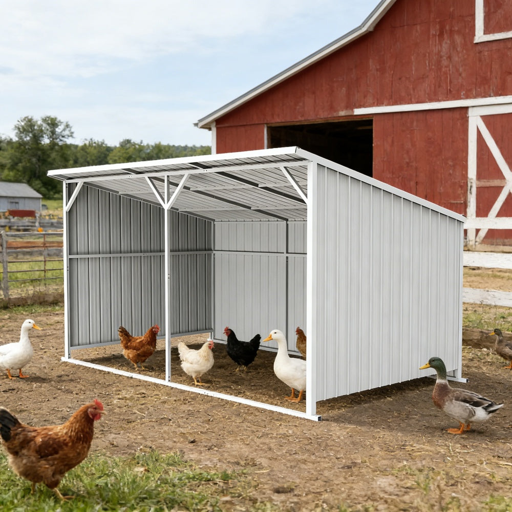 Chery Industrial 20' × 12' Heavy-Duty Metal Livestock Run-In Shed