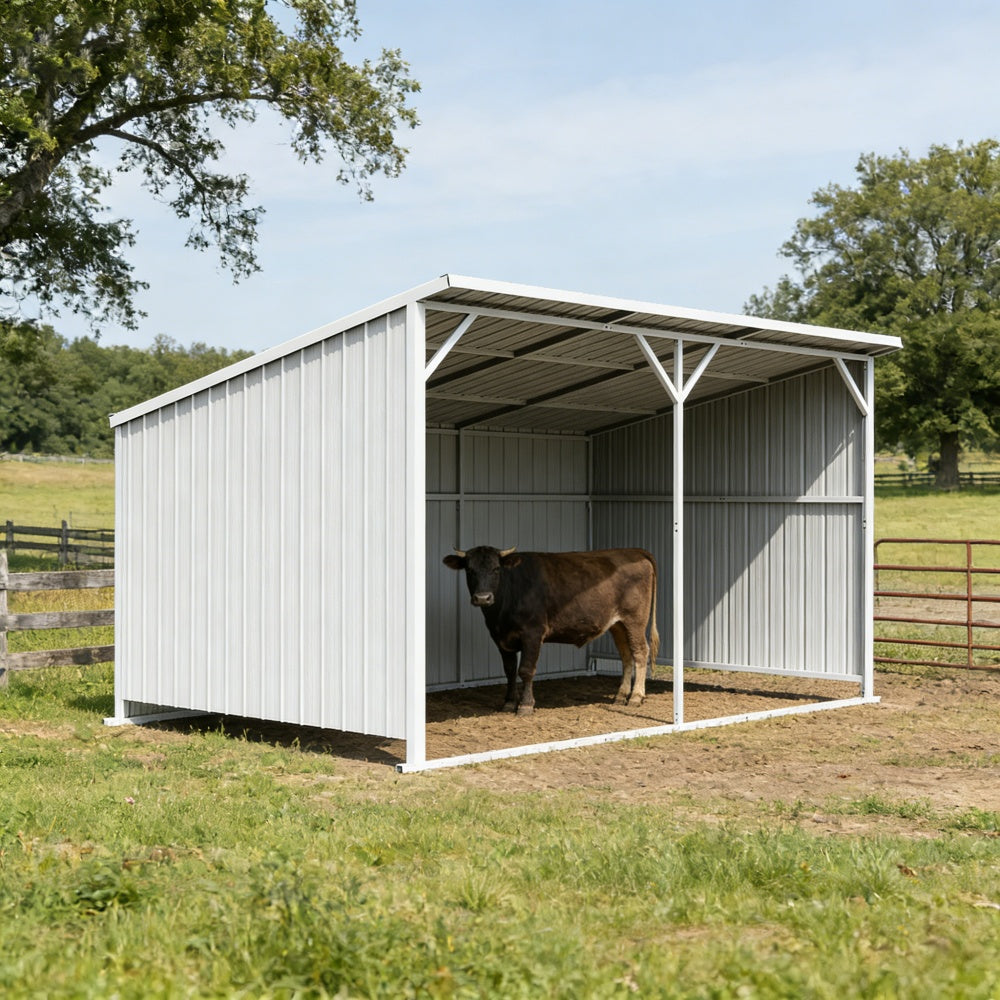 Chery Industrial 20' × 12' Heavy-Duty Metal Livestock Run-In Shed