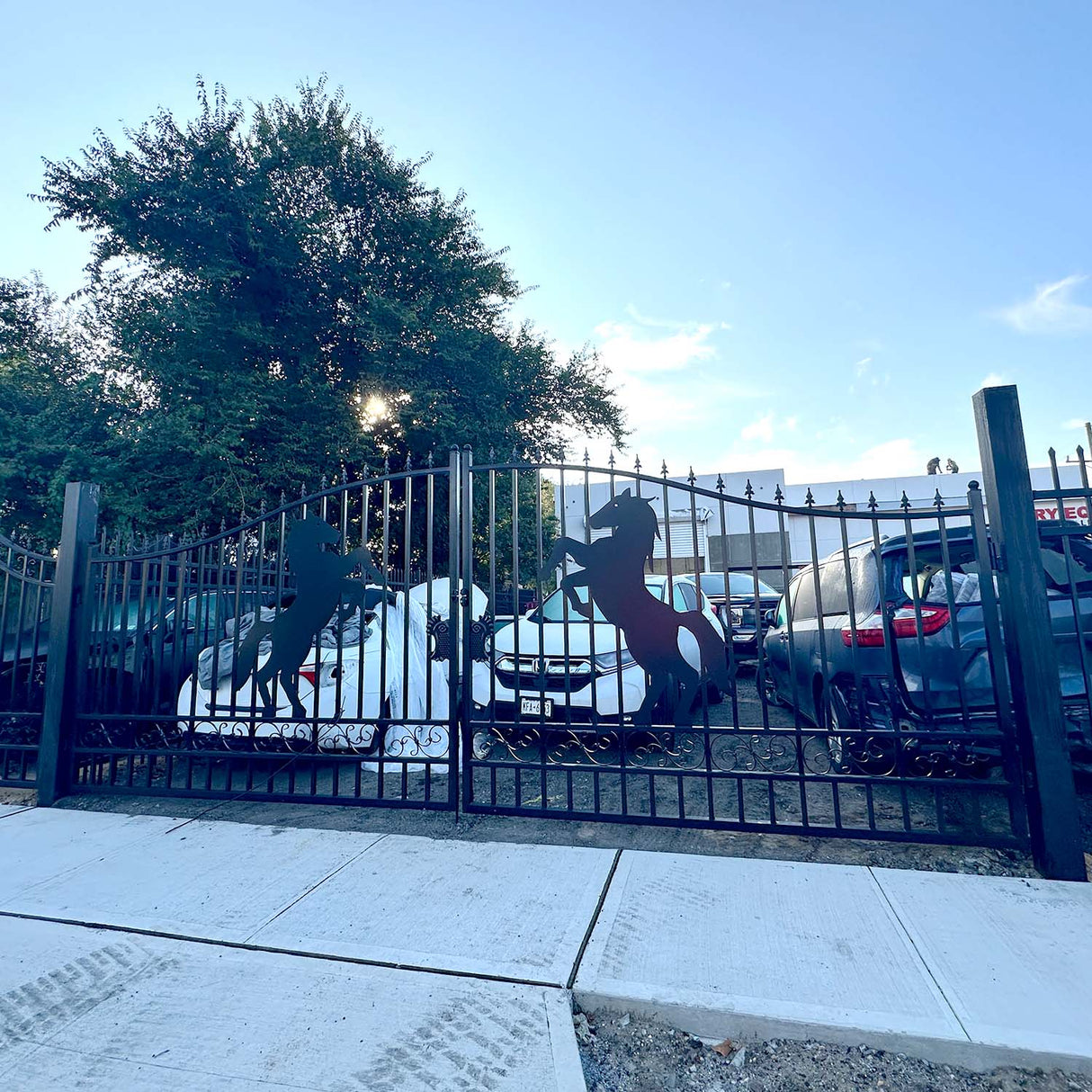 14' × 8' Galvanized-Steel Dual-Swing Driveway Gate with Horse Design