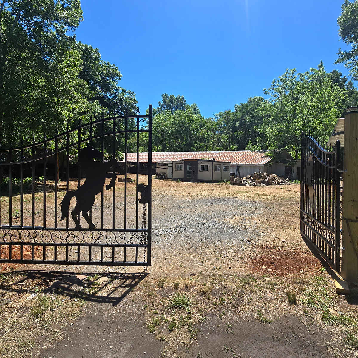 20' × 8' Steel Dual-Swing Driveway Gate with Deer Motif – Black