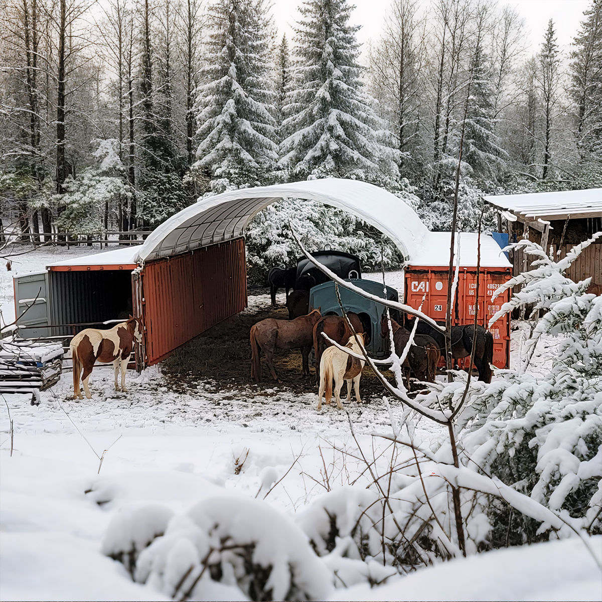20' × 40' Shipping-Container Canopy Shelter