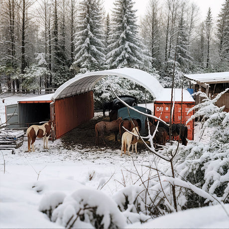 20' × 40' Shipping-Container Canopy Shelter