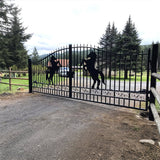 20' × 8' Steel Dual-Swing Driveway Gate with Deer Motif – Black