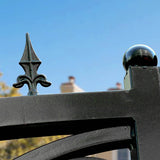 14' × 8' European-Style Galvanized-Steel Dual-Swing Driveway Gate