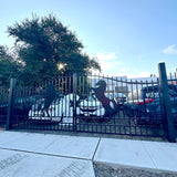 14' × 8' Galvanized-Steel Dual-Swing Driveway Gate with Horse Design